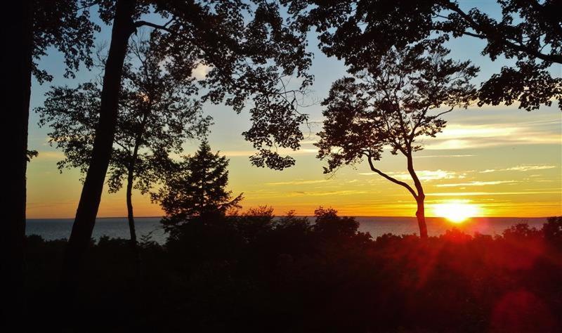 Pet-Friendly One Crow Cottage In Harbor Springs! المظهر الخارجي الصورة